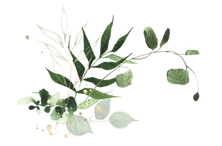 Watercolor painted greenery arrangement on white. Green wild plants, branches, leaves and twigs and golden lines.の写真素材