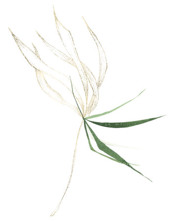 Watercolor painted greenery arrangement on white. Green and golden lines wild exotic branches with long leaves.の写真素材