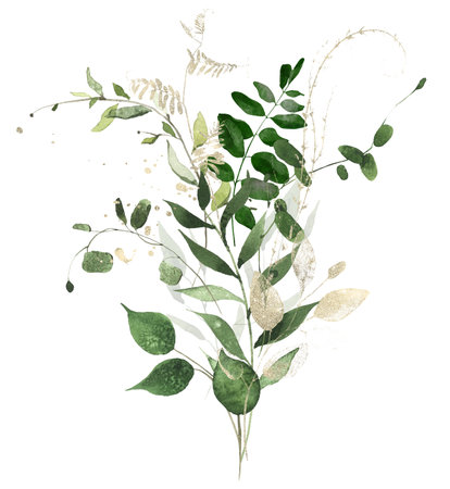 Watercolor painted greenery arrangement on white. Green wild plants, branches, leaves and twigs and golden lines, dust.の写真素材