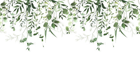 Watercolor painted greenery seamless frame on white background. Green wild plants, branches, leaves and twigs.の写真素材