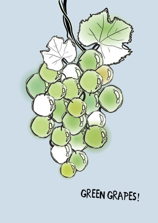 blur and black contour green grapes with inscriptionのイラスト素材
