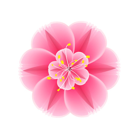 Isolated flower of sakura. Cartoon pink and white blossom of Japanese cherry tree.のイラスト素材