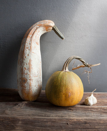 dry garlic, pumpkin, zucchiniの写真素材