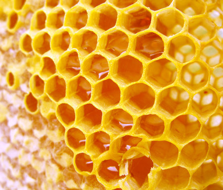 macro hineycomb with honey