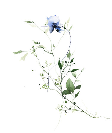 Watercolor painted meadow greenery bouquet on white background. Green wild plants, branches and twigs, blue cornflower.の写真素材