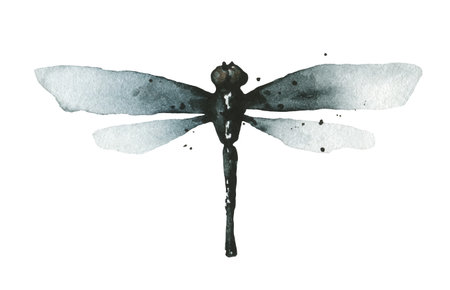 Watercolor grunge style gray, blue and black dragonfly in front. Hand drawn illustration.のイラスト素材