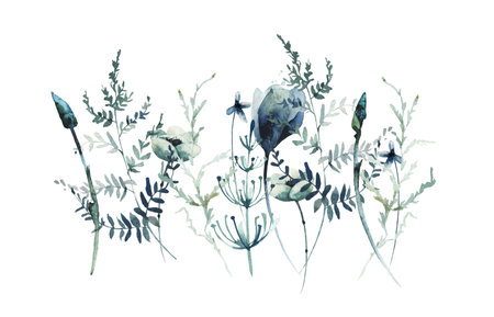 Watercolor floral grawing plants border. Turquoise swamp plants, branches, blue wild flowers, twigs, leaves, butterfly.の写真素材