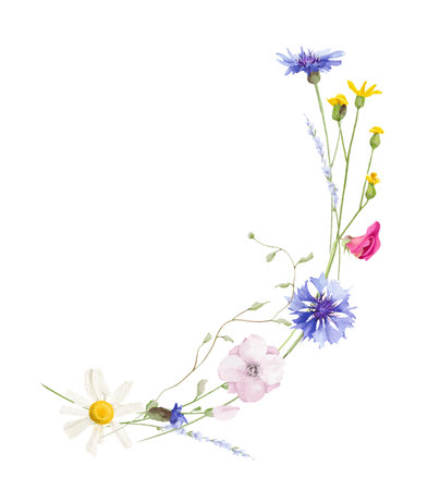 Watercolor floral semicircular border frame. Wild meadow blue cornflowers, pink, violet, orange, yellow flowers, branchの写真素材