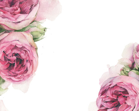 Watercolor painted pink peony roses flowers frame template. Delicate floral hand drawn botanical drawingの写真素材