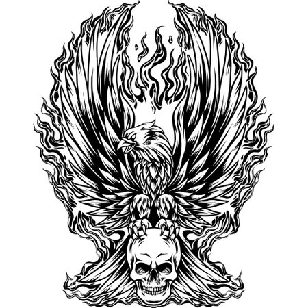Fire Eagle With Skull Silhoeutteのイラスト素材
