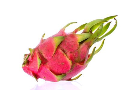 Dragon fruit isolated on white backgroundの写真素材