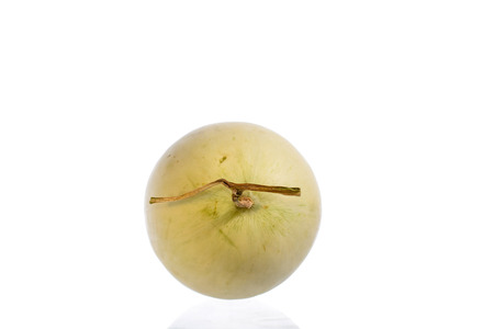 Cantaloupe,Honeydew Melon on White Backgroundの写真素材