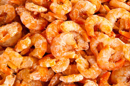 Dry shrimpsの写真素材