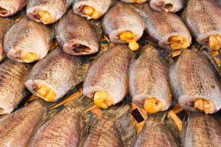 Dry Gourami fish