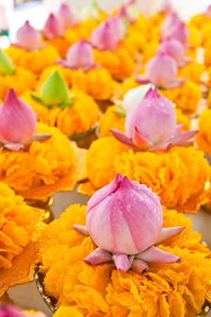 Row of lotus and yellow flower garlands on tray with pedestal in thai temple,Thailand.の写真素材
