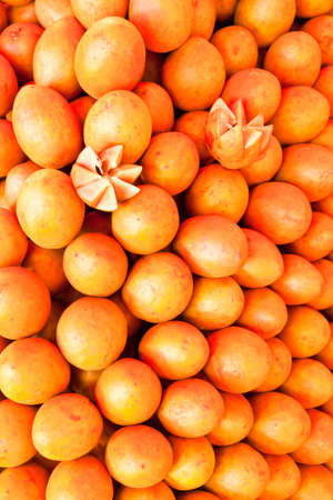 tropical fruits,Sapodillaの写真素材