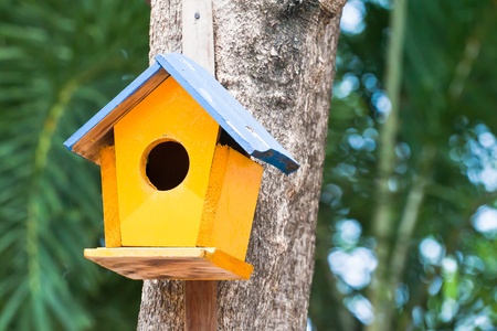 yellow birdhouse on a treeの写真素材