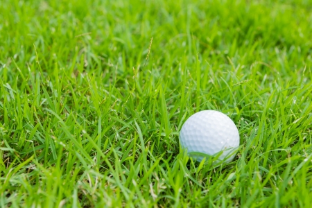 golf ball in the rough の写真素材