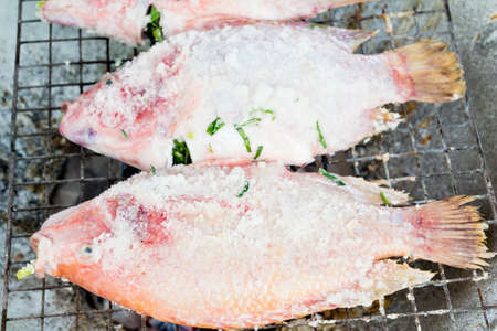 Grilled Tilapia fish on the grillの写真素材