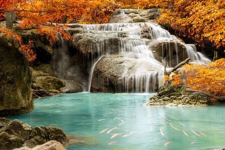 Waterfall in rain forest jungleの写真素材