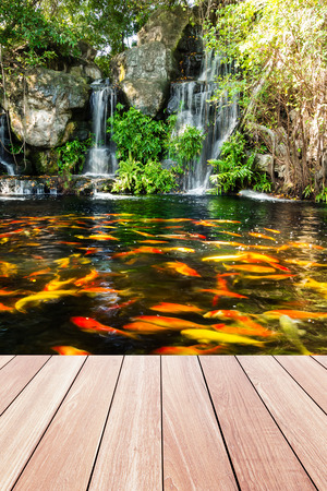 Koi fish in pond at the garden with a waterfall and wood walkway foregroundの写真素材