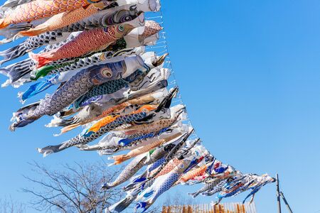 Carp streamerの写真素材