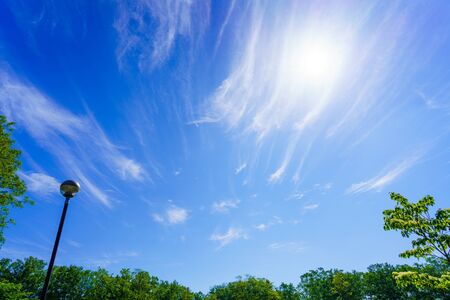 blue sky and green forestの写真素材