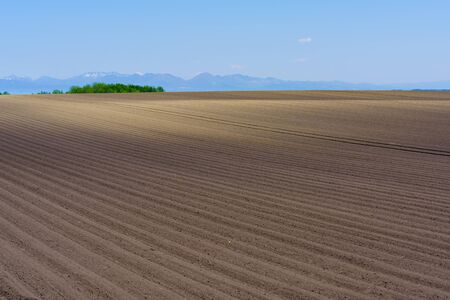 agriculture field in spring hokkaidoの写真素材