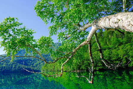 Natural lakeの写真素材