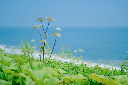 Scenery by the seaの写真素材