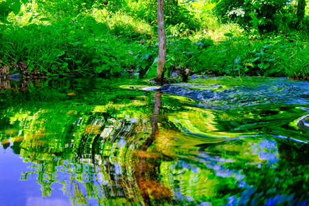 summer river water reflection in hokkaido