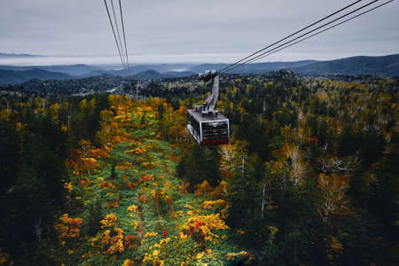 autumn leaves view from ropewayの写真素材