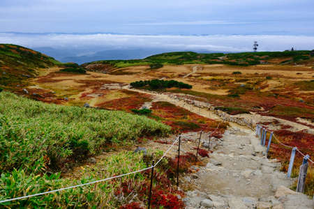 autumn leaves view in asahidakeの写真素材