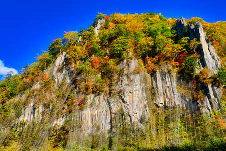 Autumn leaves on steep cliffs