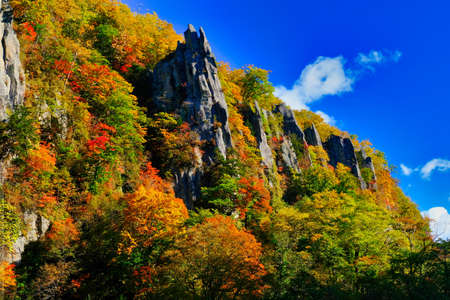 Autumn leaves on steep cliffsの写真素材