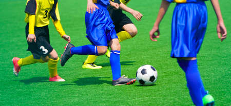 football game in hokkaido japanの写真素材