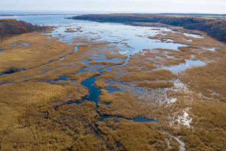 Aerial view of the marsh