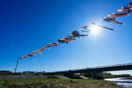carp streamer in may Japanの写真素材