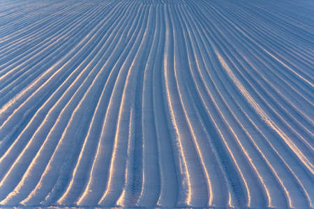 snow field in winter hokkaidoの写真素材
