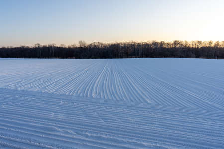 snow field in winter hokkaidoの写真素材