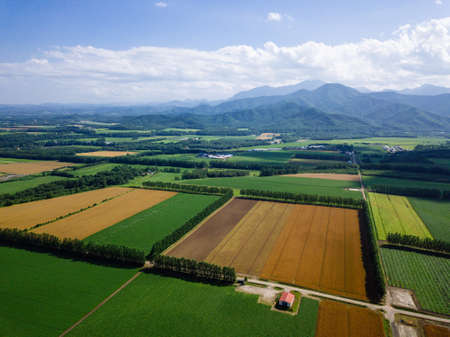 landscape from drone in summer hokkaido