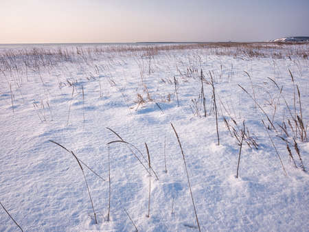 snow field near the seaの写真素材