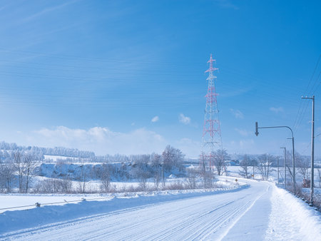 frost covered tree and blue skyの写真素材