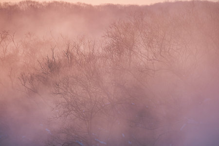 cold fog from otowa bridgeの写真素材