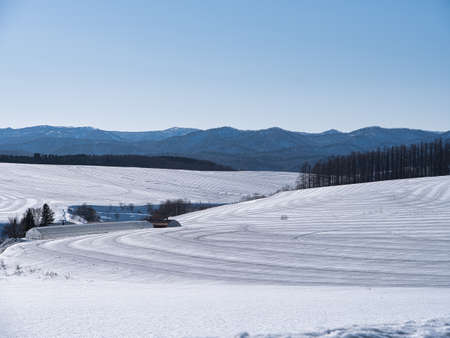 a snowfield sprinkled with snowmelt