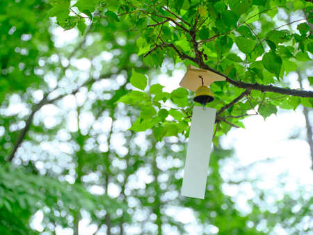 wind bell in summer forest