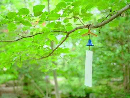 wind bell in summer forest