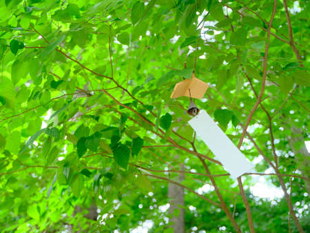 wind bell in summer forest