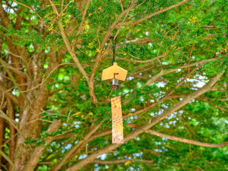 wind bell in summer forest