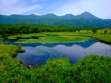 shiretoko lake in summer hokkaidoの写真素材